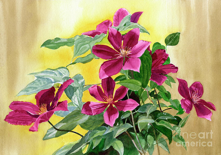 Red Violet Clematis with Gold Background Painting by Sharon Freeman