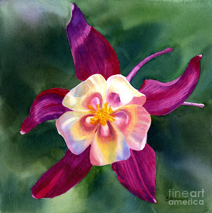 Red Painting - Red Violet Columbine Blossom Square Design by Sharon Freeman