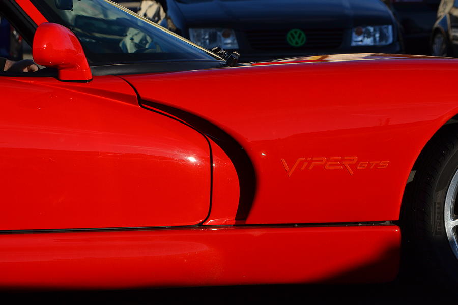 Red Viper Photograph by Dean Ferreira