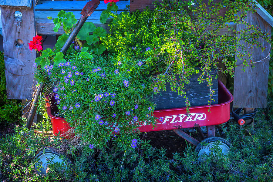 Toy Photograph - Red Wagon In The Garden by Garry Gay