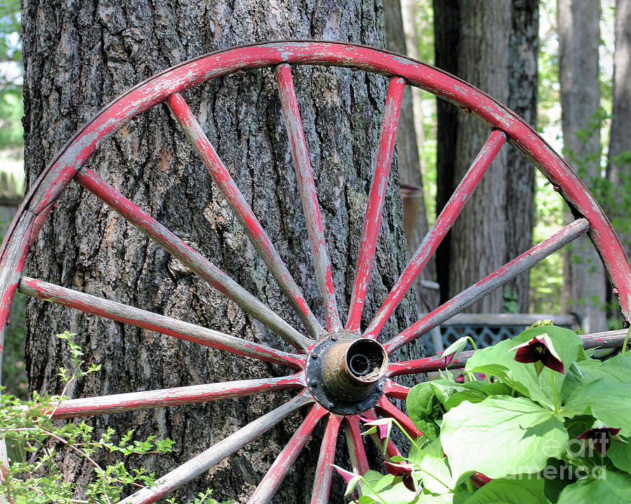Red Wagon Wheel Photograph by Smilin Eyes Treasures