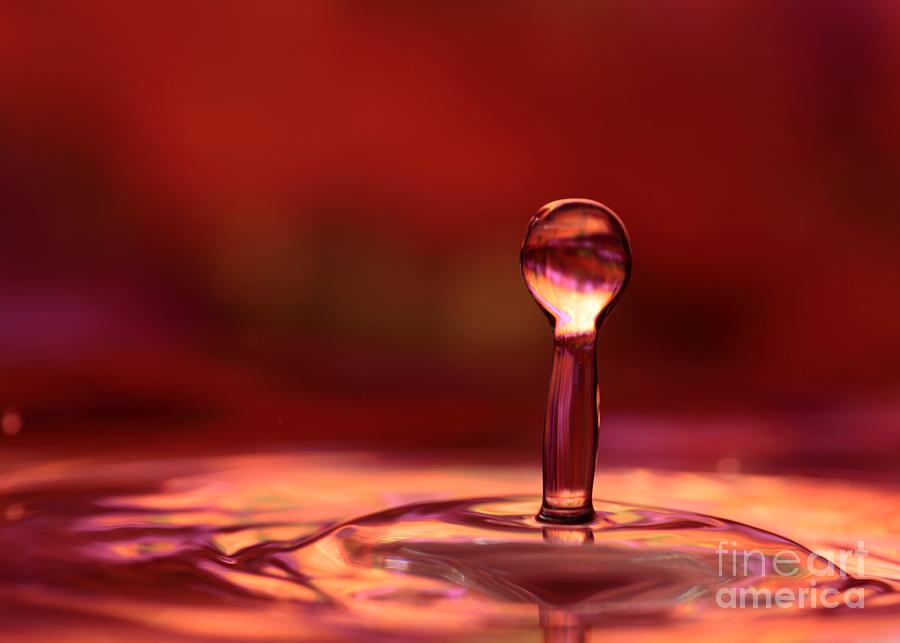 Red Water Drop Photograph by Sabrina L Ryan