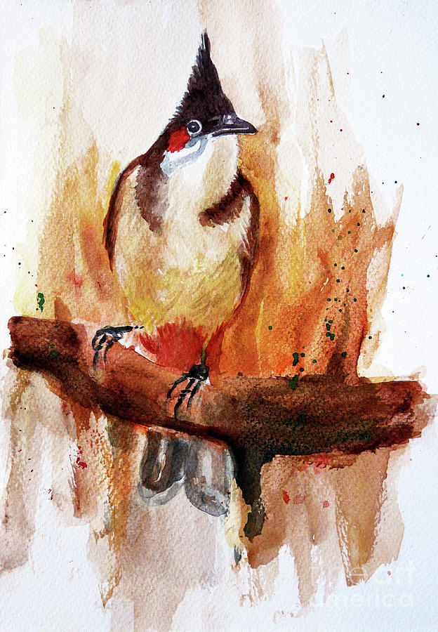 Bird Painting - Red Whiskered Bulbul by Jasna Dragun