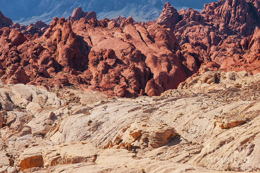 Valley of Fire Red and White Rock Photograph by Bob Phillips