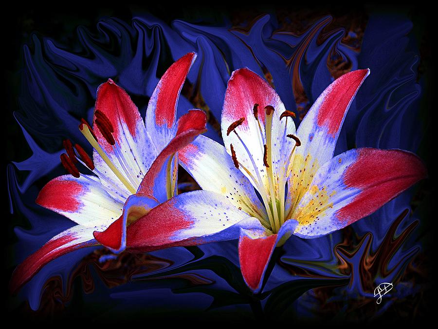 Lily Photograph - Red White and Blue by Jim  Darnall