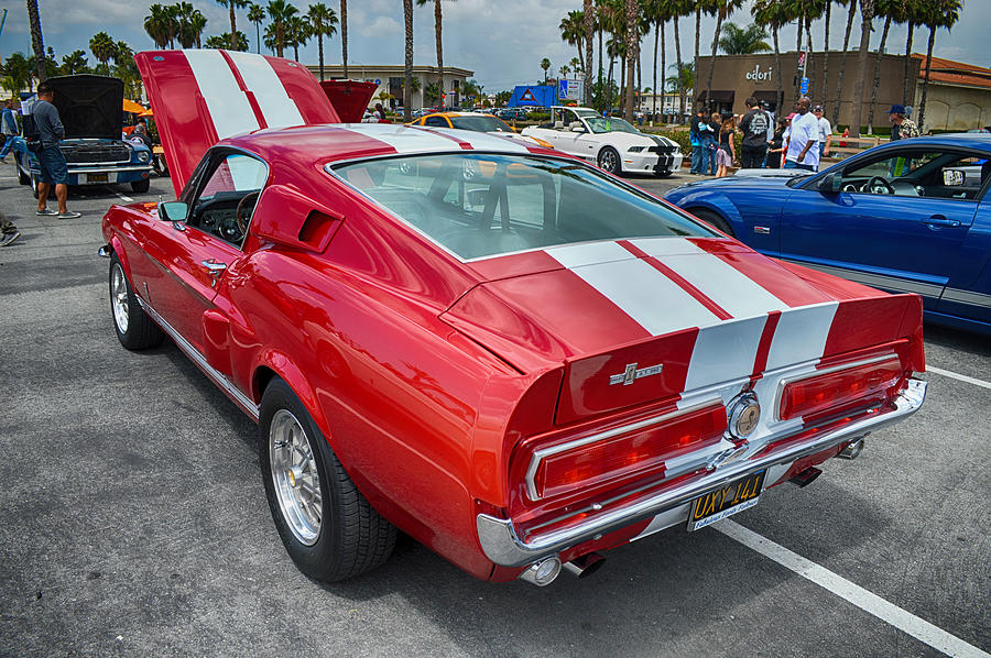 Red White Shelby G T 350 Photograph by Bill Dutting
