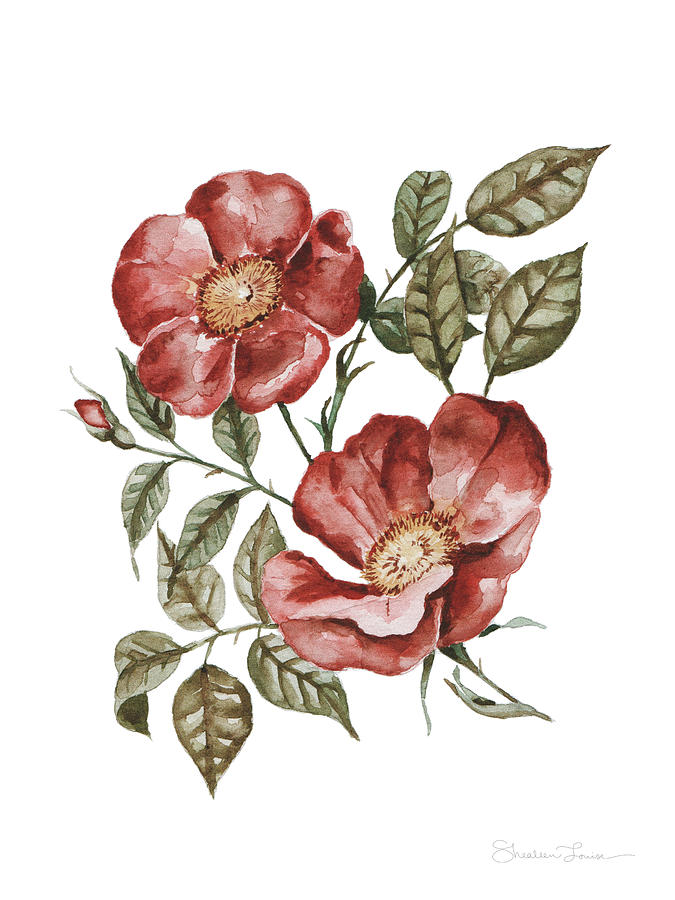 Rose Painting - Red Wild Roses  by Shealeen Louise