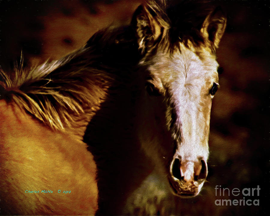 Red Willow pony LX Painting by Charles Muhle
