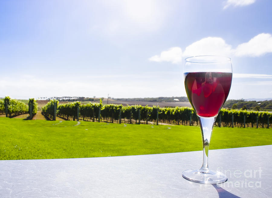 Wine Photograph - Red wine glass at Tasmania countryside winery by Jorgo Photography