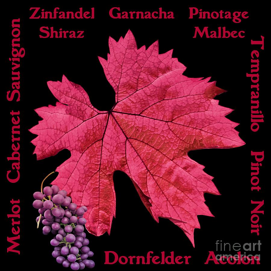 Red Wines Lettering Mixed Media by Gabriele Pomykaj