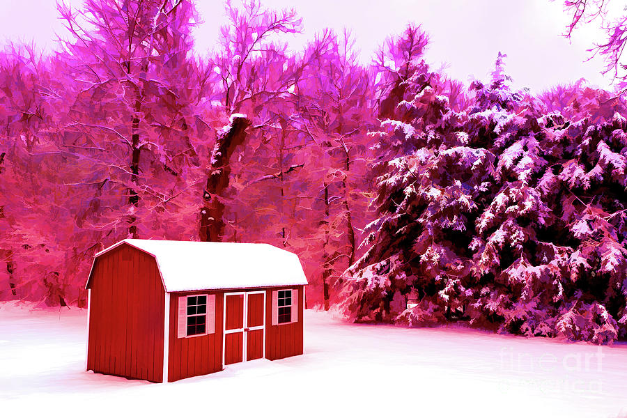 Red Winter Photograph by Rick Bragan