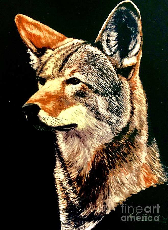 Wolves Painting - Red Wolf by KS Ballew