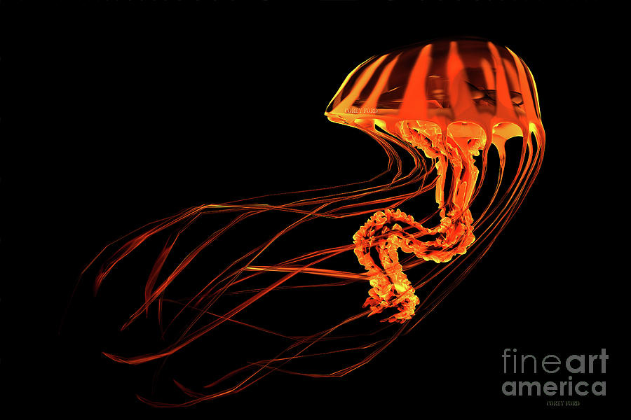 Red Yellow Striped Jellyfish Digital Art by Corey Ford