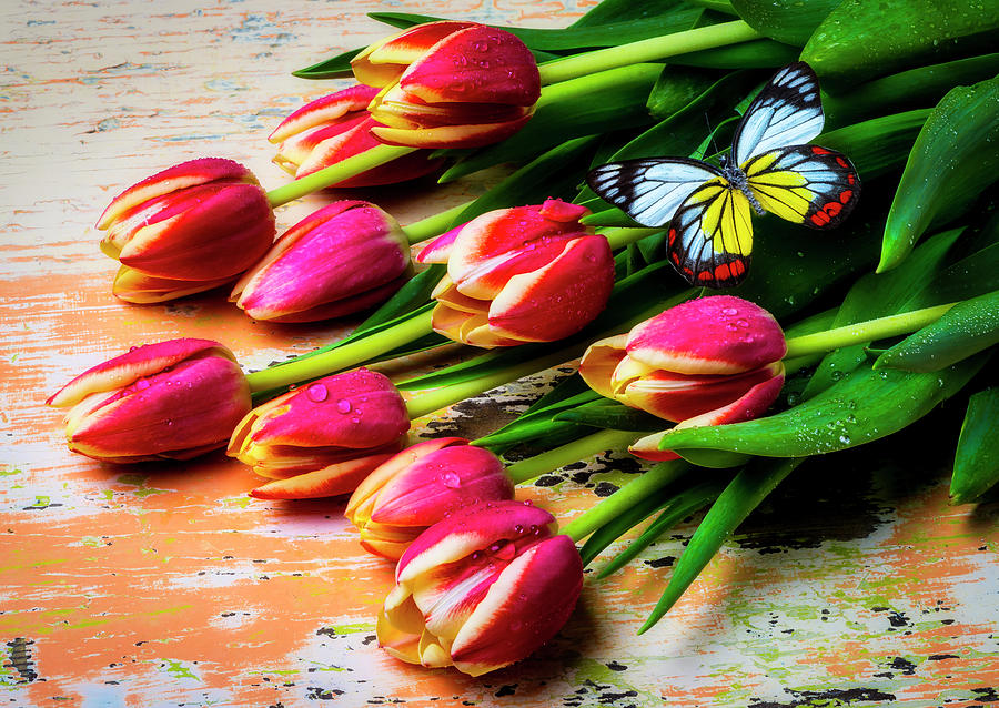 Red Yellow Tulips With Gorgeous Butterfly Photograph by Garry Gay