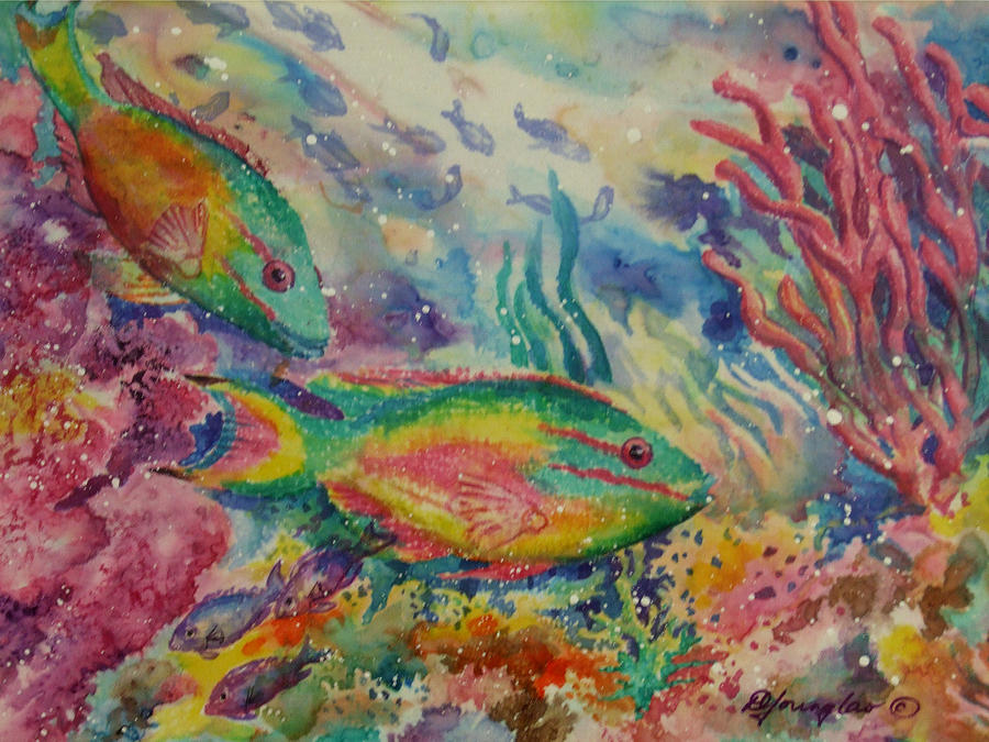 Fish Painting - Redband Parrotfish by Deborah Younglao