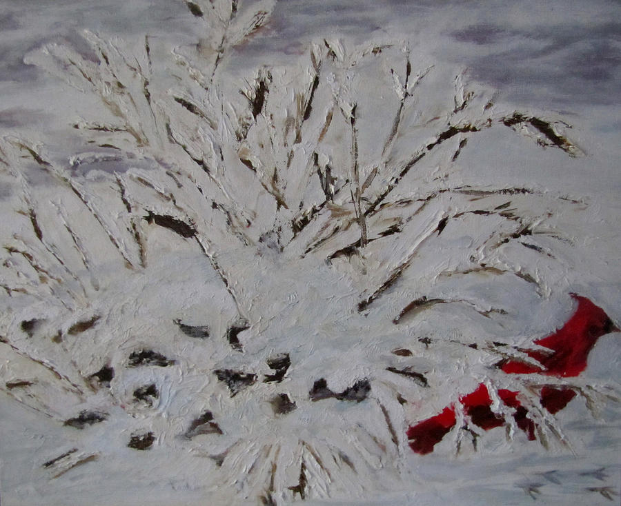 Cardinal Painting - Redbird in Snow by Jenell Richards
