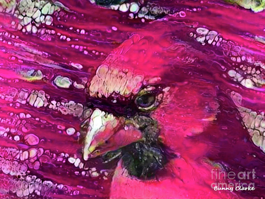 Redbird Tribute Digital Art by Bunny Clarke