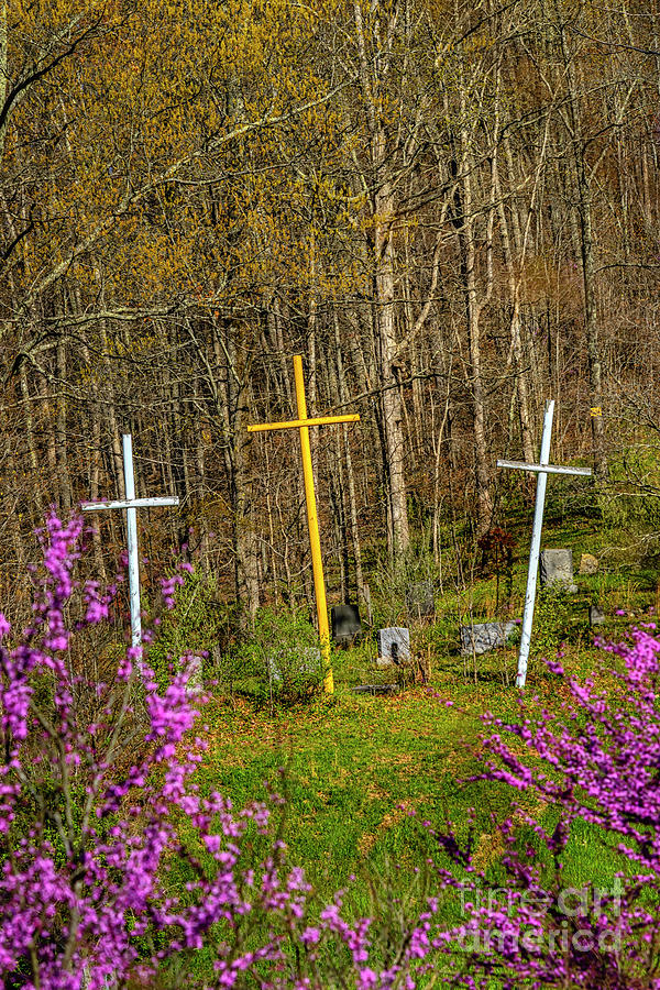 Redbud Bloom and Three Crosses  Photograph by Thomas R Fletcher