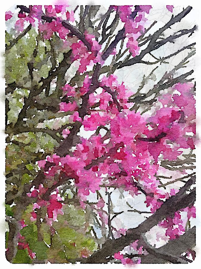 Redbud Painting by Shannon Grissom