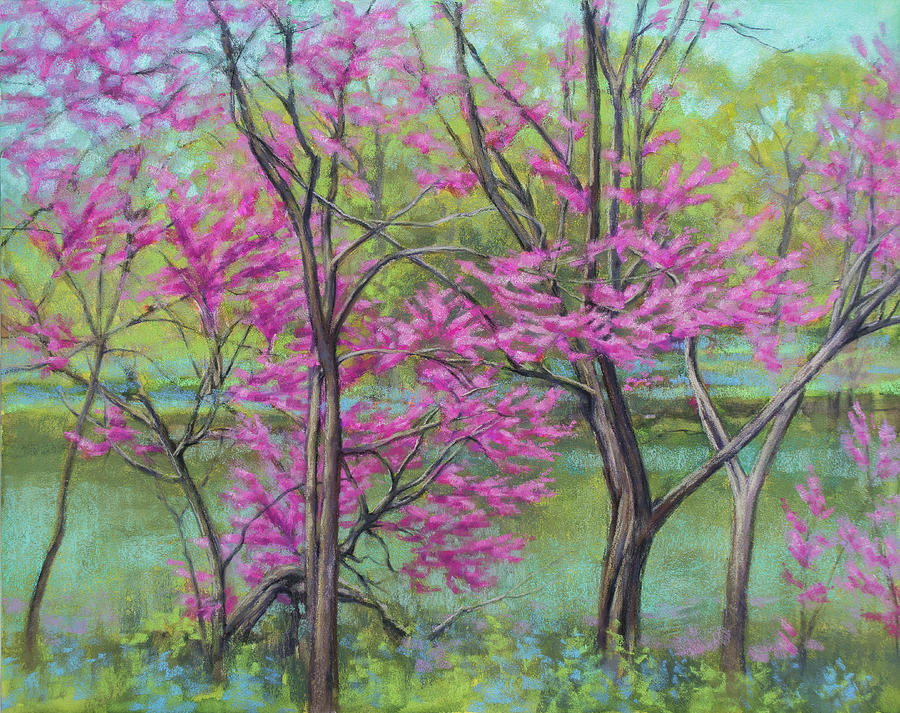 Tree Pastel - Redbuds at the Lake by Fiona Craig