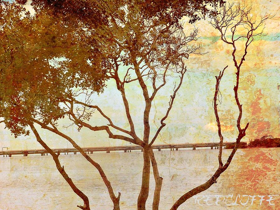 Redcliffe Digital Art by Meiers Daniel Fine Art America