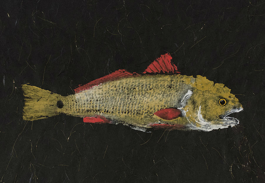 Gyotaku Painting - Redfish by Captain Warren Sellers Gyotaku Painting - Redfish by Captain Warren Sellers