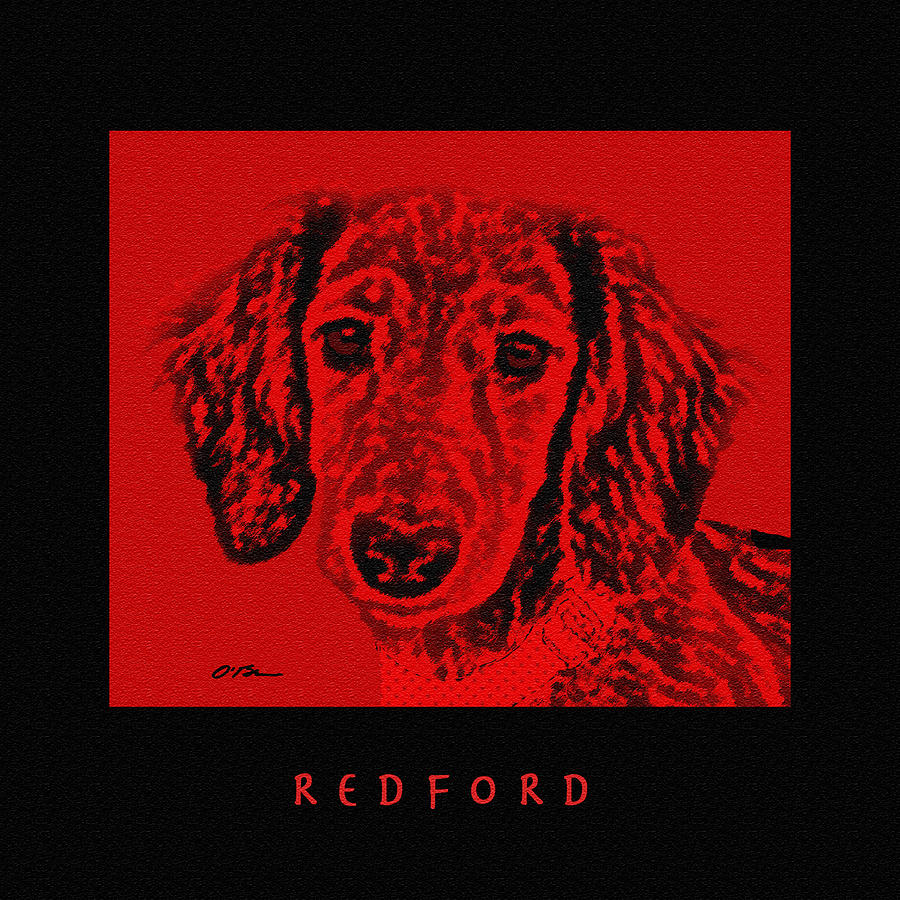 Dog Digital Art - Redford by Claudia OBrien