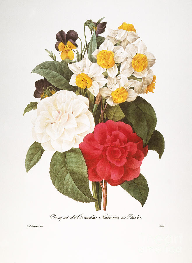 Redoute: Bouquet, 1833 Photograph by Granger