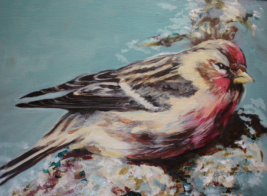 Redpoll Painting by Edith Hunsberger