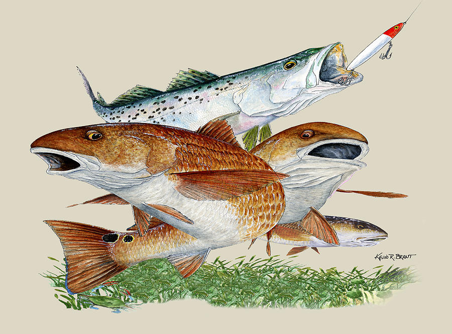 Redfish Painting - Reds and Trout by Kevin Brant Redfish Painting - Reds and Trout by Kevin Brant