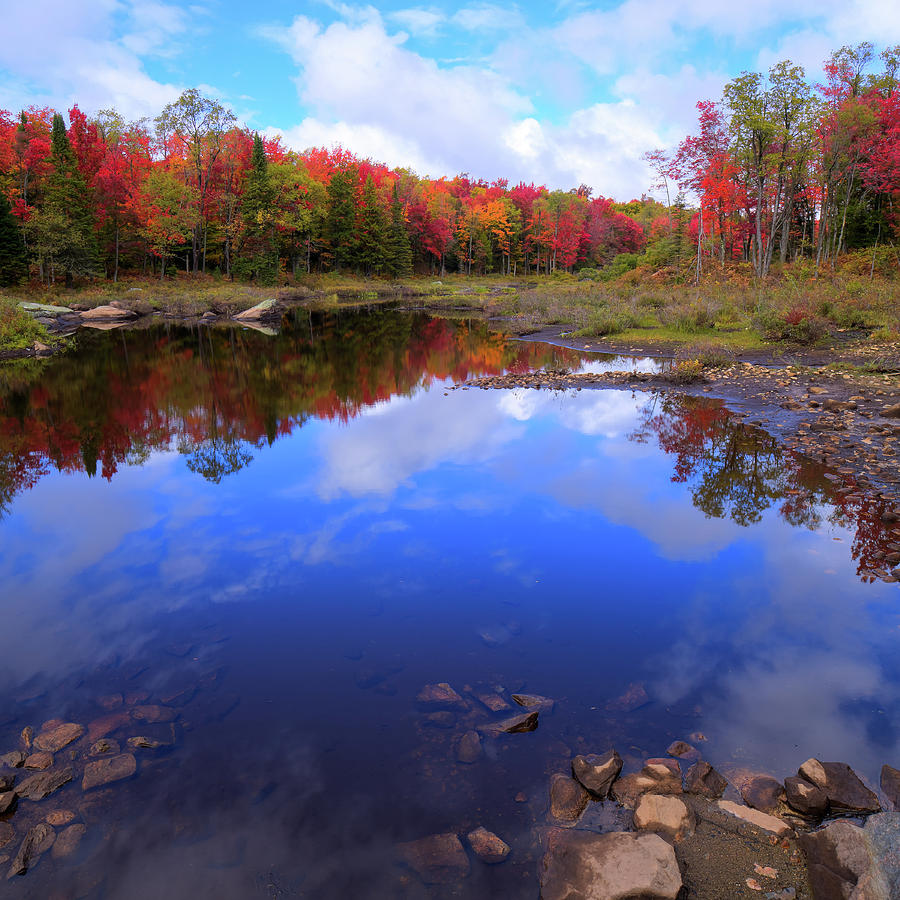 Reds of Autumn Photograph by David Patterson