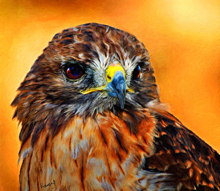 Redtailed Hawk Digital Art