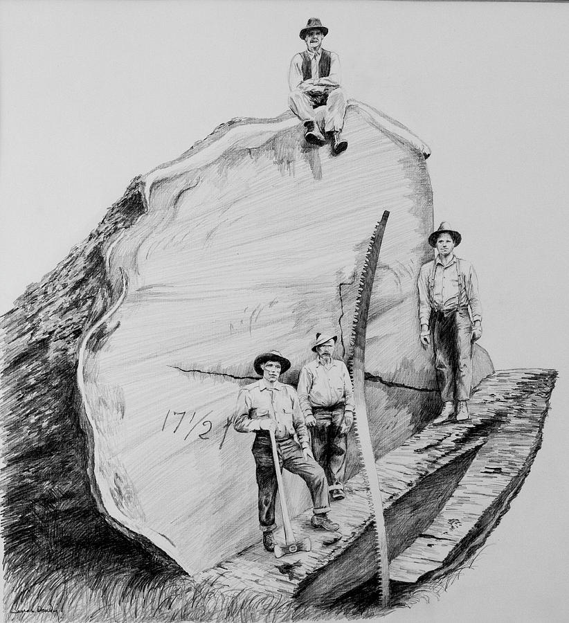 Redwood Loggers Drawing by James Deady Fine Art America