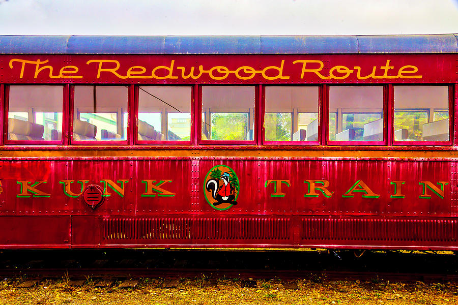 Redwood Route Coach Car Photograph by Garry Gay