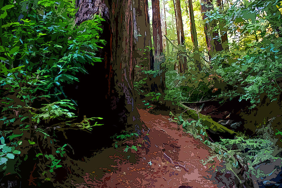 Redwood Trail by Creek on Mt. Tamalpais Enhanced Digital Art by Ben Upham III