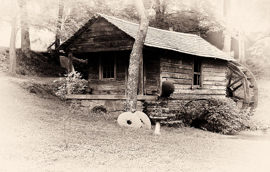 Reed Springs Photograph by Nancy Helmer