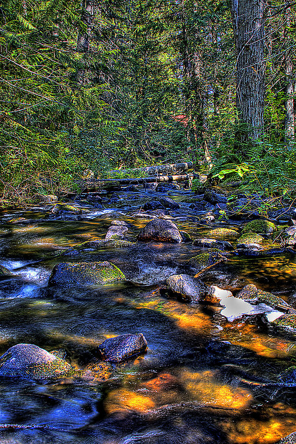 Landscape Photograph - Reeder Creek II by David Patterson
