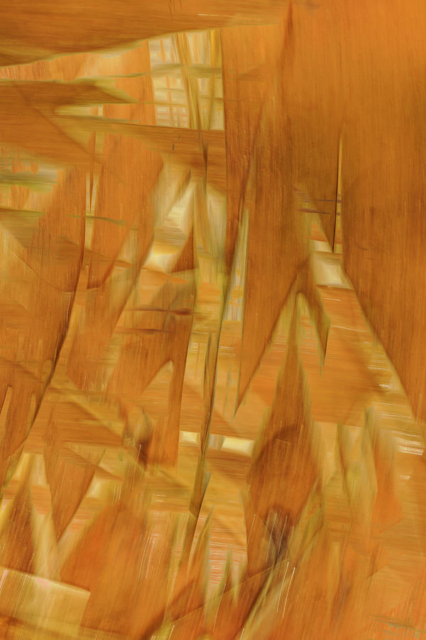 Reeds And River Photograph by Deborah Hughes