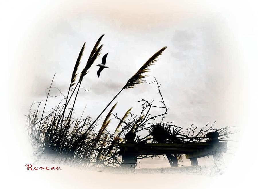 REEDS and SEA Photograph by A L Sadie Reneau