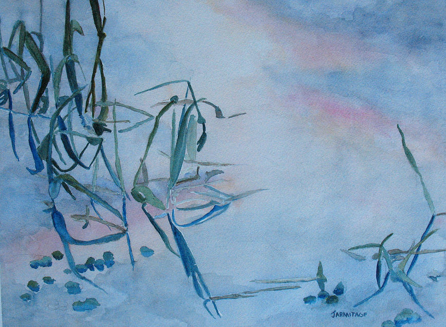 Reeds at Sunset Painting by Jenny Armitage
