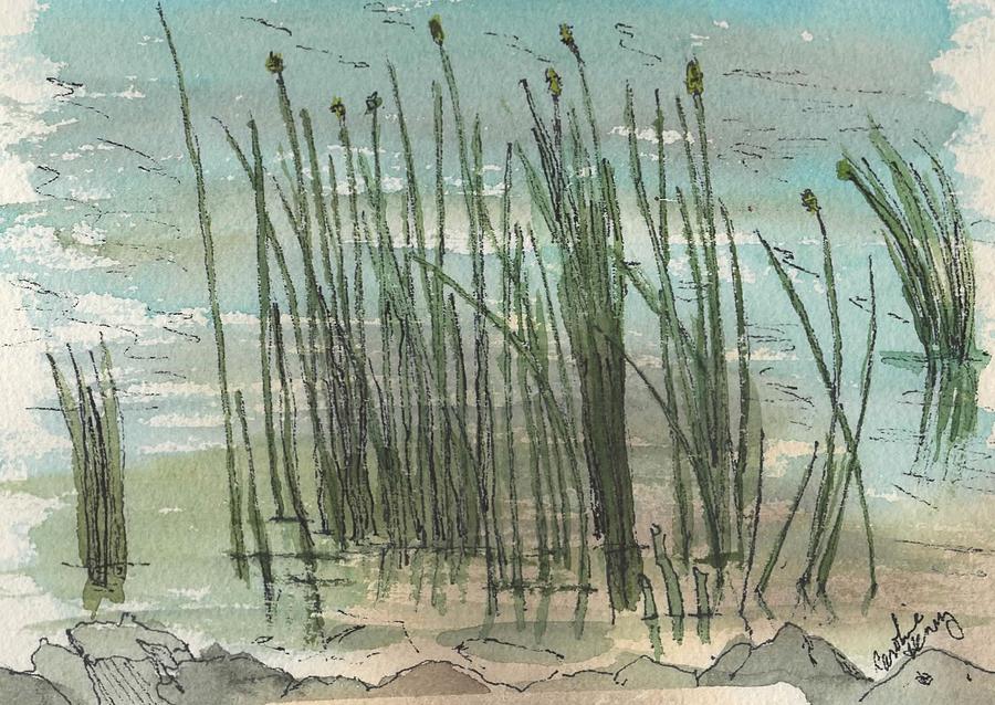 Reeds Painting by Caroline Henry
