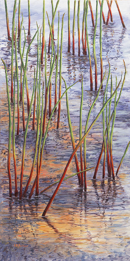 Reeds at Lake Edge, NH Painting by Elaine Farmer