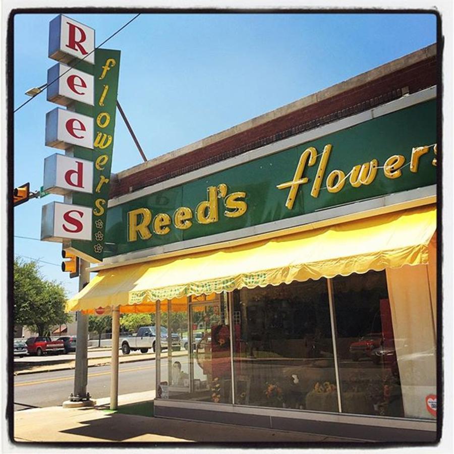Sign Photograph - Reeds Flowers Prizewinning #neon by Alexis Fleisig