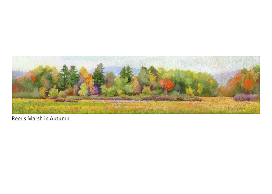 Reeds Marsh in Autumn Pastel by Betsy Derrick