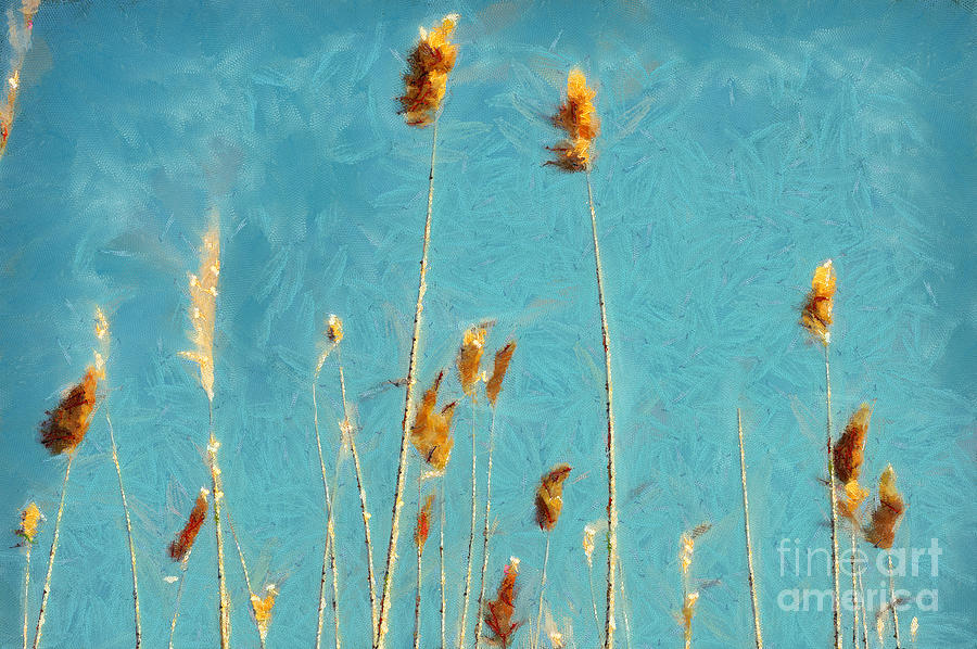 Reeds on blue sky Painting by Dimitar Hristov