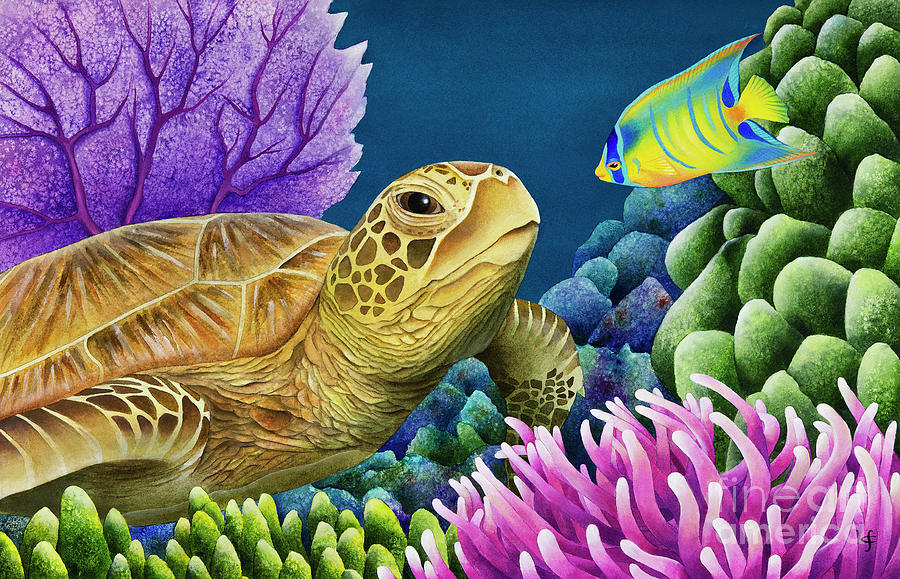 Turtle Painting - Reef Buddies by MGL Meiklejohn Graphics Licensing