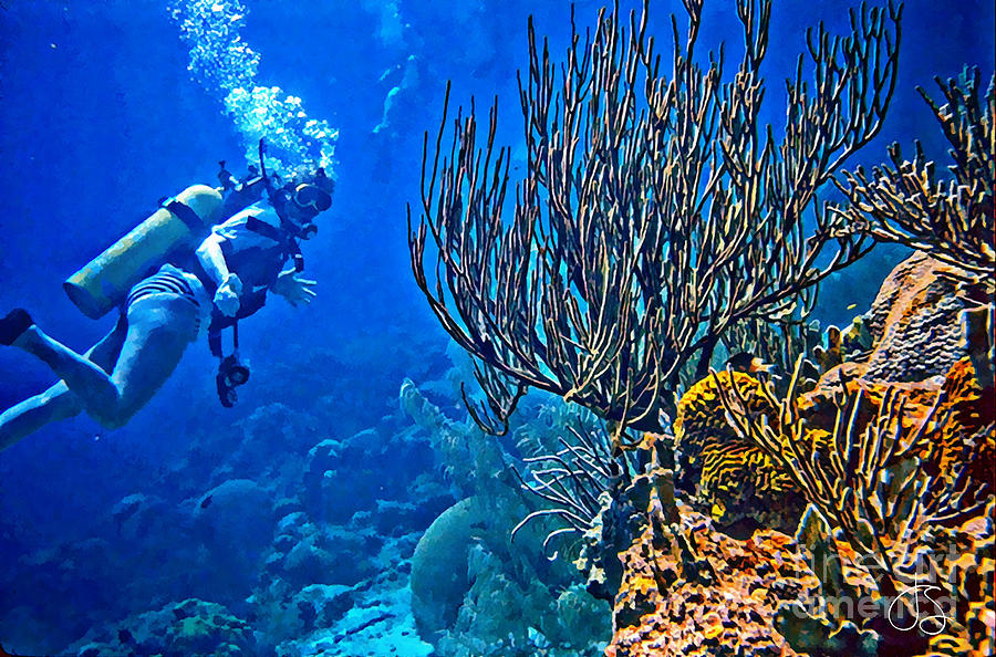Reef Dive Photograph