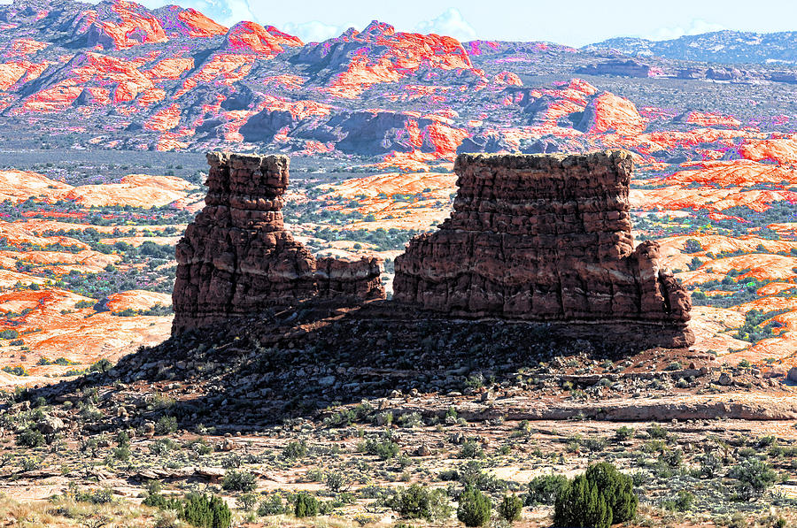 Reef In Arches National Park Photograph by Lawrence Christopher