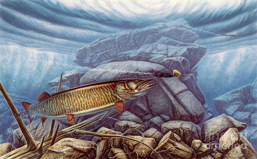 Reef King Musky Painting by Jon Wright Pixels