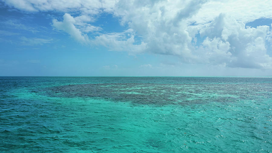 Reef off Ambergris Caye, Belize Photograph by Waterdancer
